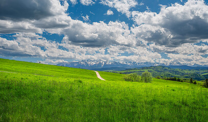 Obraz premium green field and blue sky