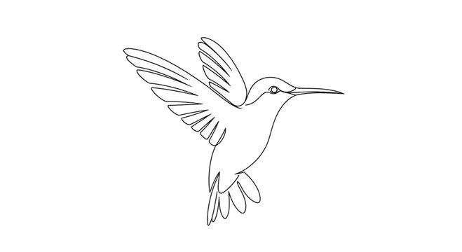Elegant Hummingbird Line Art Minimalist Design.