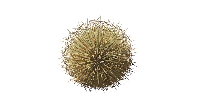 Detailed vector illustration of a sea urchin with sharp spines and brown colors