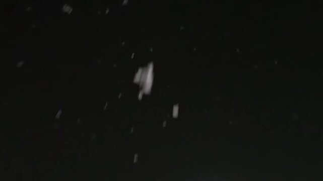 White snowflakes fall diagonally across a black background, becoming slightly denser through the middle frames before thinning again, creating a subtle winter snowfall overlay effect.