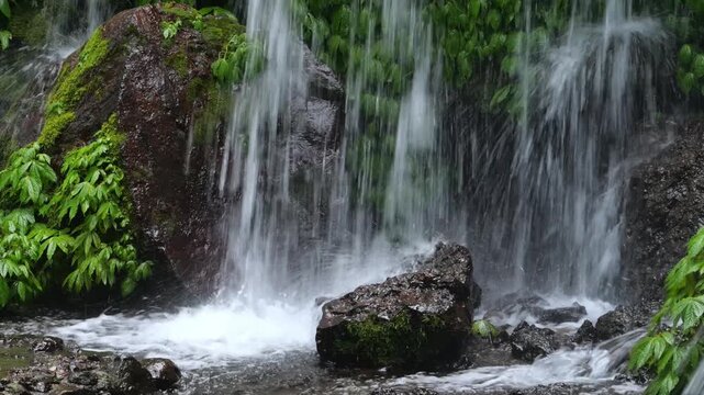 Rainforest Waterfall Scene. Peaceful Tropical Jungle Featuring Hanging Vines And Waterfall. Tranquil Rainforest Scene Showcasing Waterfalls Amidst Dense Green Foliage And Hanging Vines