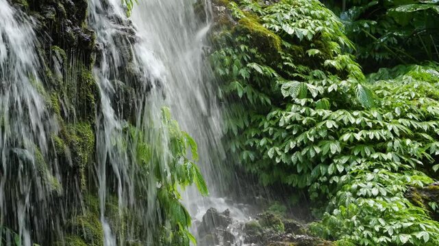 Lush Waterfall Cascades Downward Gracefully. Vivid Green Water Rushing Over Stony Ledges. Energetic Water Surges Down Uneven Stone Levels Surrounded By Lush Foliage And Moss