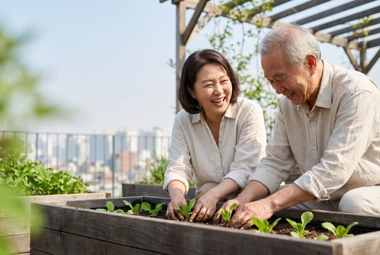 Happy senior Asian couple gardening together on a sunny rooftop, planting seedlings in a wooden raised bed with a city skyline in the background, enjoying active retirement and sustainable living