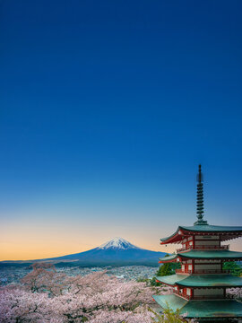 富士山　桜　日本