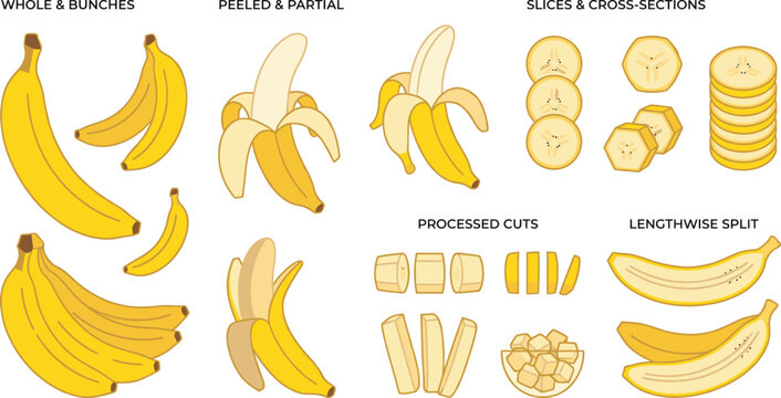 Banana Illustration Set Featuring Whole, Peeled, Sliced, Processed Cuts, and Lengthwise Split Variations for Food Preparation Guides, Nutrition Concepts, and Fresh Fruit Designs