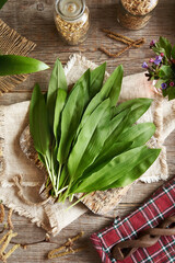 Naklejka premium Fresh wild garlic or ramson leaves on a table - wild edible plant collected in spring