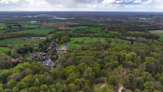 Epping Forest Aerial View Trees and Fields Essex