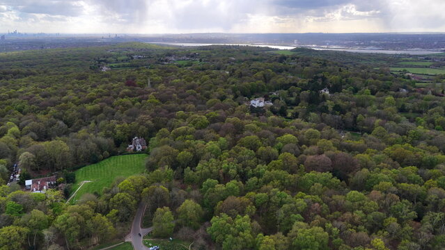 Epping Forest Aerial View Trees and Fields Essex