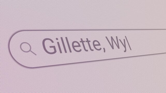 Search Bar Gillette Wyoming 
Close Up Single Line Typing Text Box Layout Web Database Browser Engine Concept