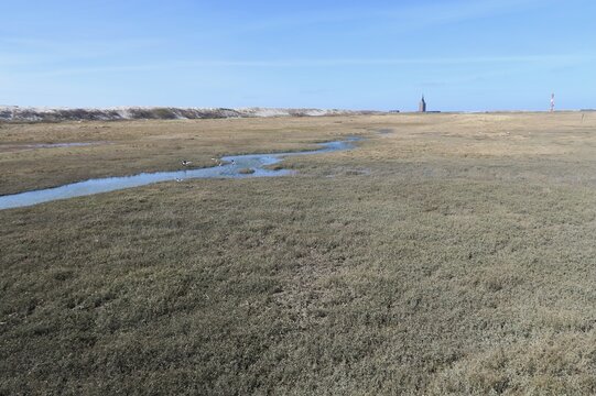 Von der Waggonplattform der Inselbahn aus sind die Salzwiesen des Westaussengrodens, ein Priel und der Westturm auf der deutschen Nordseeinsel Wangerooge zu sehen.