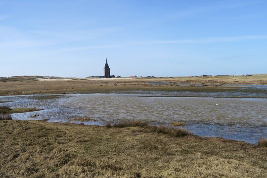 Der Zug vom Hafen zum Dorf auf der deutschen Nordseeinsel Wangerooge durchf&auml;hrt den Westau&szlig;engroden mit Salzwiesen und Prielen. Im Hintergrund ist der Westturm zu sehen. 