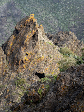 Hiking Abache trail in Teno Mountains, Tenerife