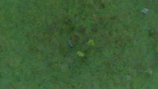 焼山付近上空から望む雲海と朝日と美ヶ原牧場