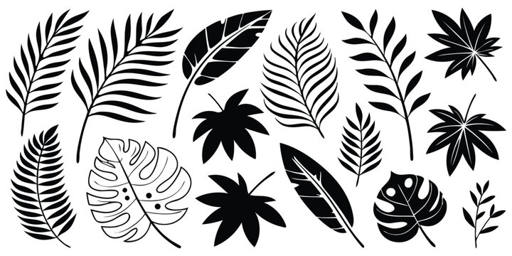 Tropical leaves silhouette set on white backround.