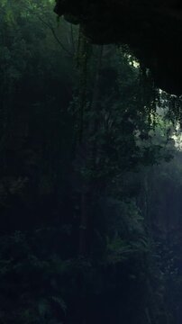 A forest scene shows tall trees and dense plants. Light filters through the leaves, creating a misty atmosphere. The ground is covered with shadows and greenery, enhancing the theme of nature.