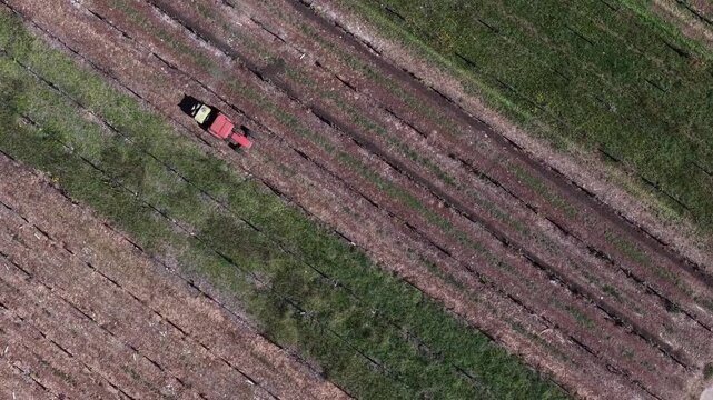 Aerial view of a tractor meticulously working the fields, creating striking patterns of parallel lines, Viana do Castelo, Portugal.