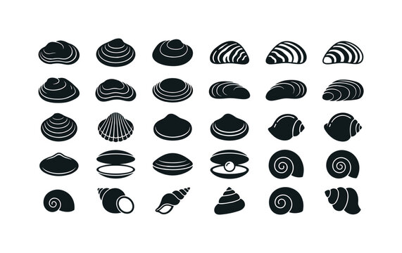 Freshwater shells like river mussels pond clams spiral snail shells and smooth bivalve forms found in lakes and rivers clean solid