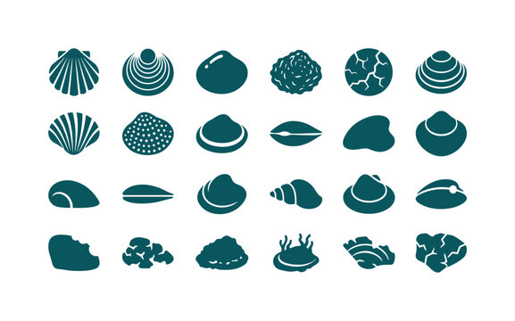 Freshwater shell textures and forms like ridges smooth curves layered growth rings and natural shell surfaces clean solid filled