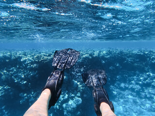 POV shot of a person wearing black flippers swimming underwater over a beautiful coral reef in the Red Sea, Egypt © Dmitri