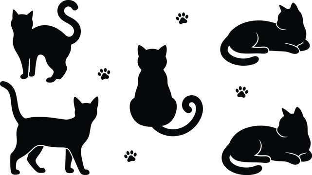 Black cat silhouettes in various poses with paw prints on white background vector illustration graphic design