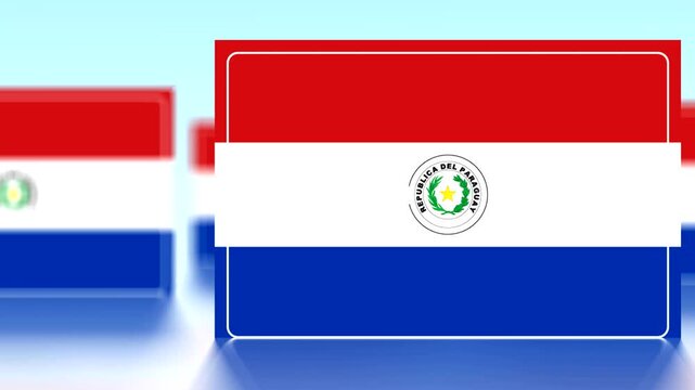 Paraguay flag rectangle icon with white thin border on blurred background  national symbol of Republic of Paraguay