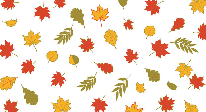 Autumn leaf assortment illustration on white background vector design