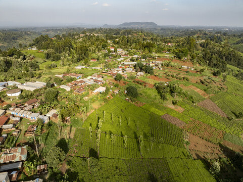 Aerial view of green tea fields interlace with red-soil farms and clustered dwellings under the vast African sky, Nyeri, Nyeri, Kenya.