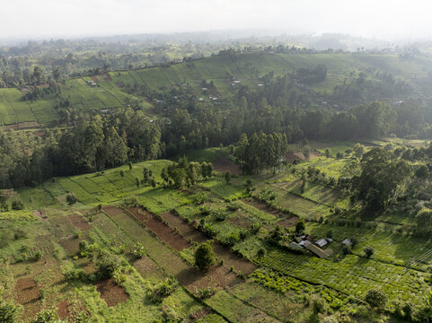 Aerial view of verdant farmlands meet dense forests under the soft, diffused light, creating a tapestry of rural life, Nyeri, Nyeri, Kenya.