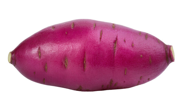 Vibrant purple sweet potato with textured skin, isolated on transparent background
