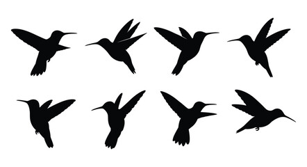 Delicate Hummingbird Silhouette Set — Black Vector Illustrations in Hovering and Flying Poses © selena