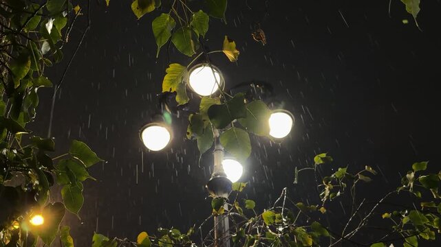 Cinematic night shot of a street lamp illuminating green tree leaves during a heavy rainstorm. The warm light creates a beautiful contrast with the dark sky and falling raindrops.