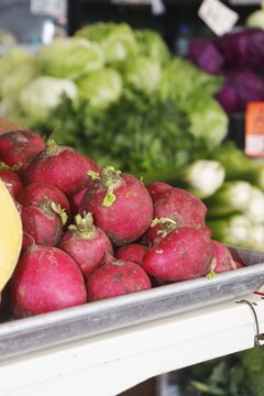 radish on the market