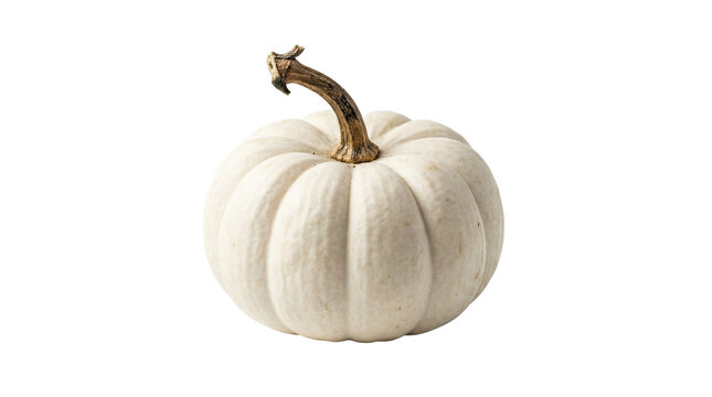Small white ribbed pumpkin with brown stem, isolated on transparent background