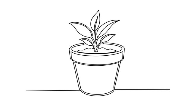 Unbroken stroke potted seedling sketch in dark contour representing domestic horticulture and botanical decor on transparent background
