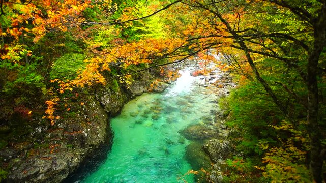 阿寺ブルーの狸ヶ淵の紅葉