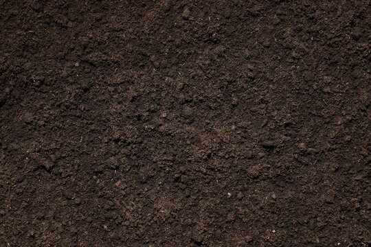 Texture of fresh soil as background, top view
