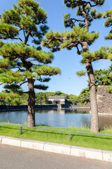 Obraz premium Imperial Palace moat and traditional watchtower in Tokyo Japan 