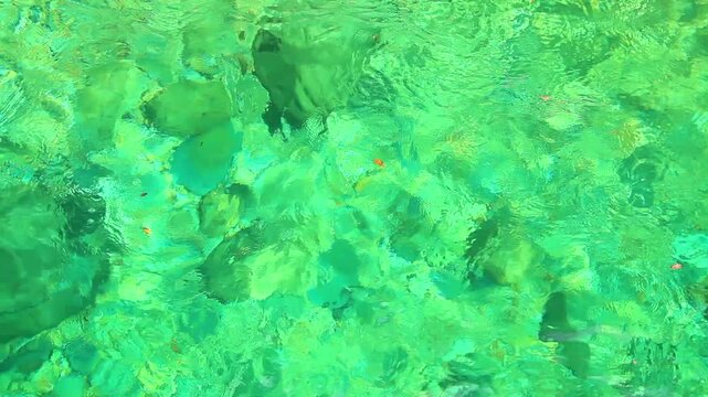 阿寺ブルーの狸ヶ淵の水面