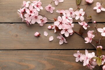 Obraz na płótnie Canvas Branch of cherry plum tree with beautiful blossoms on wooden background, flat lay