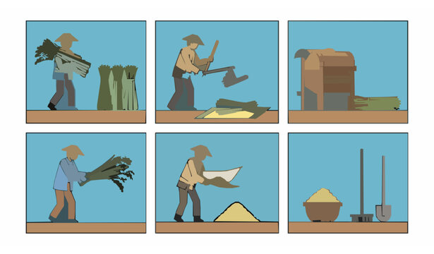 Rice threshing farming process flat vector