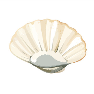 simple vector limpet clipart illustration white background vector art style simple design flat illustration no shadows