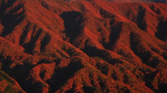 陣場形山から望む塩見岳など南アルプスのモルゲンロート,夕景