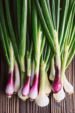Vertical composition of spring onions with long green leaves on wooden surface. Fresh scallions close view, white and purple bulbs in natural light