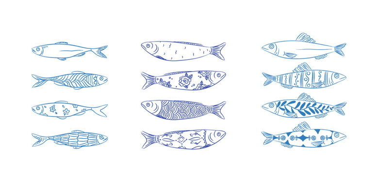 Sardine Pattern Set Hand Drawn