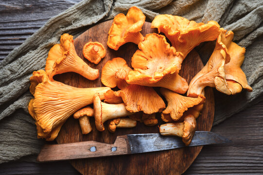 Chanterelle mushrooms piled on a wooden cutting board on rustic table. Wild forest mushrooms, organic food, autumn harvest