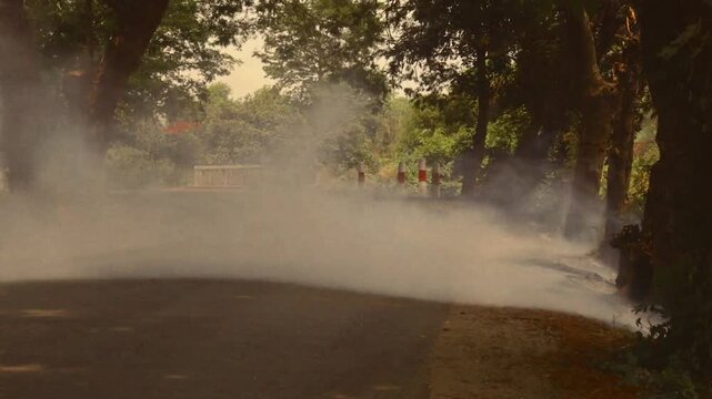 White smoke from a fog machine enveloping a road lined with trees in an unregulated oil field