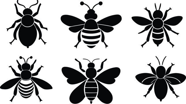 Black and white bee illustrations a collection of insect designs