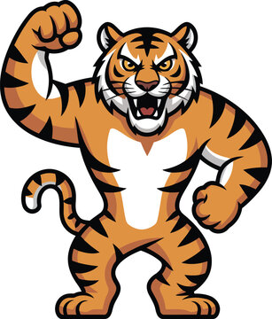 Muscular tiger mascot, flexing arm, cartoon illustration, orange and black stripes, white background