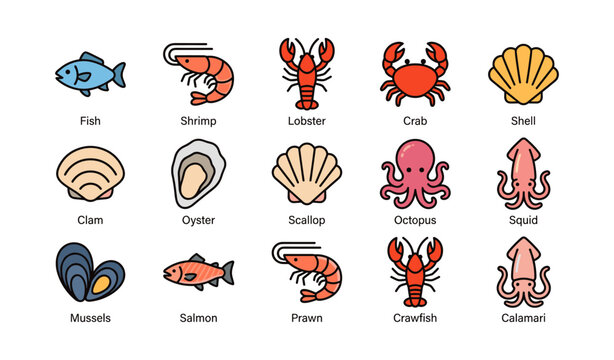 Colorful sea creatures and shellfish collection with fish, crustaceans, and mollusks
