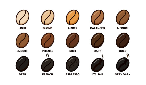 Coffee bean roast levels from light to very dark illustrated guide